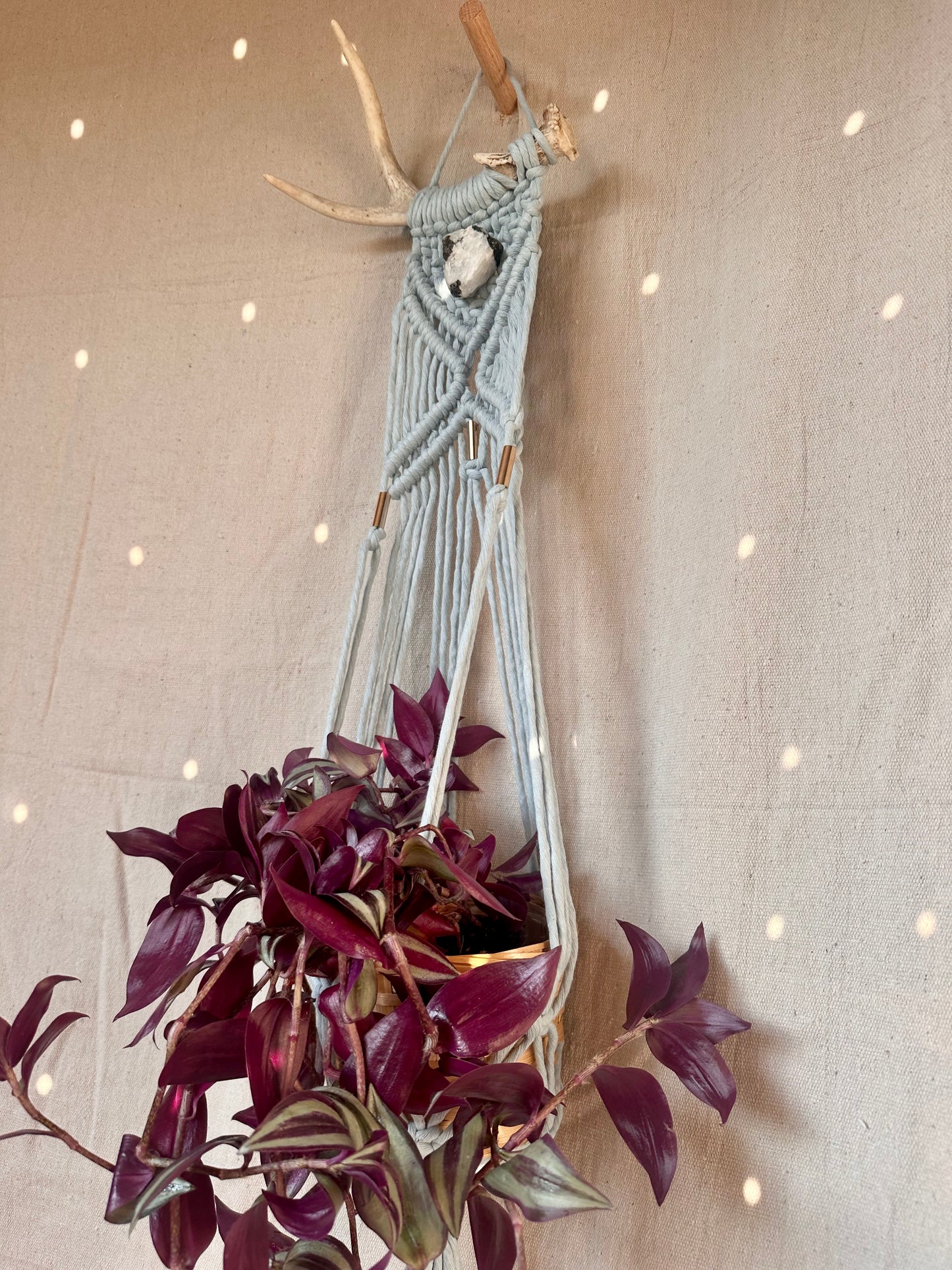 Macrame Antler Small Plant Hanger