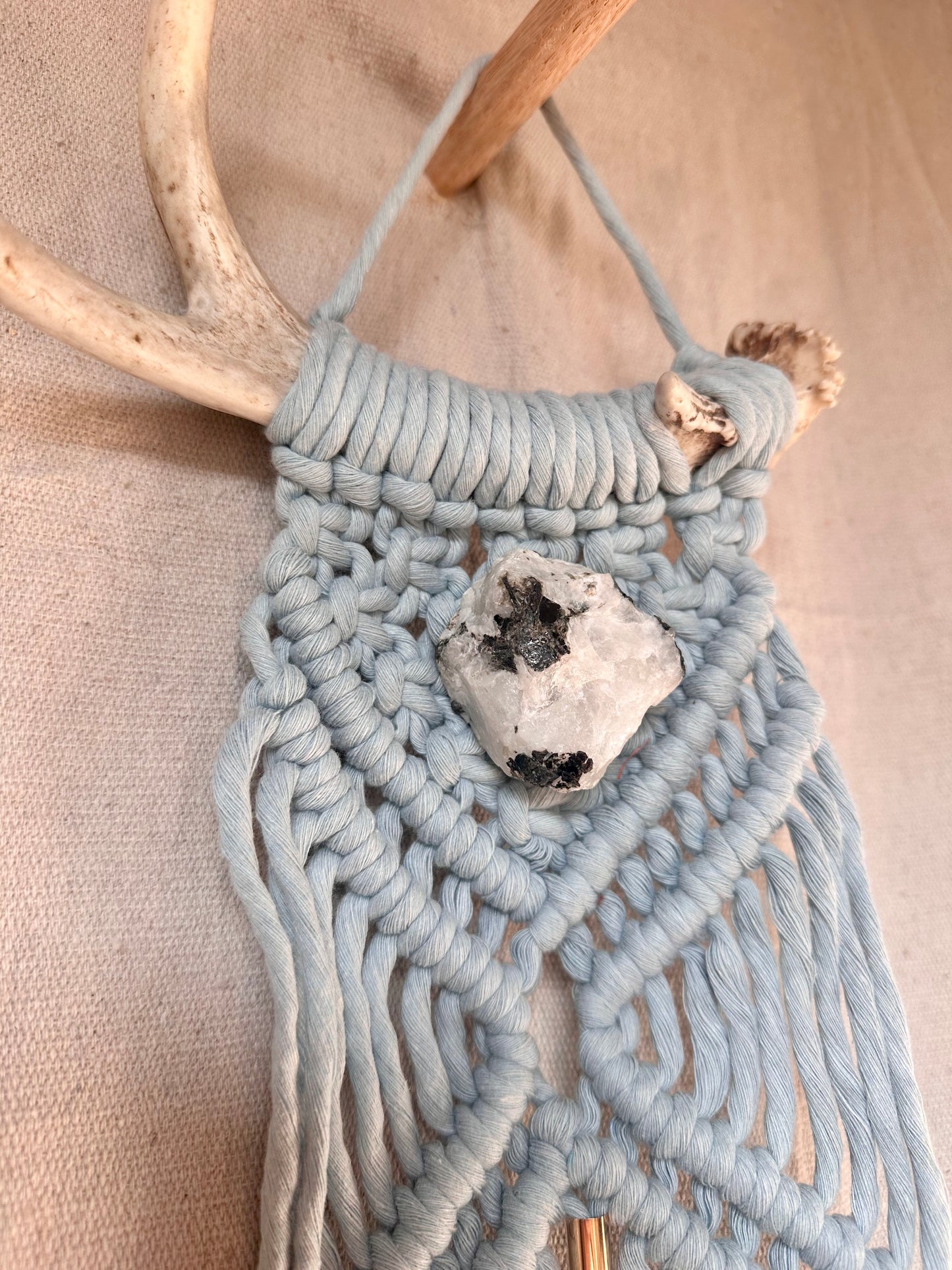 Macrame Antler Small Plant Hanger