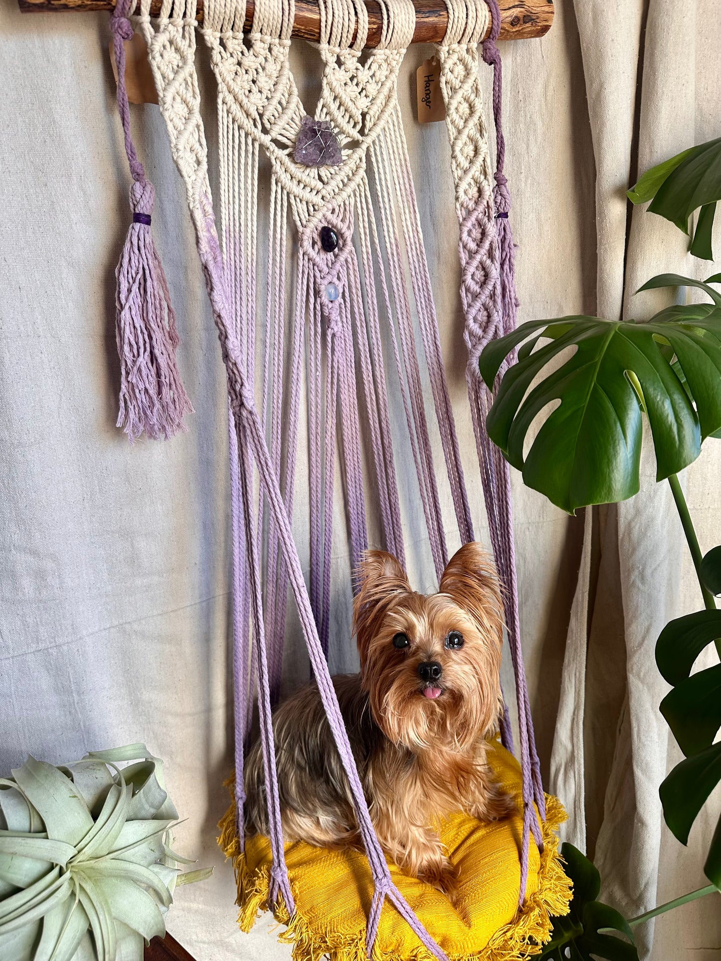 Custom Macrame Cat Hammock