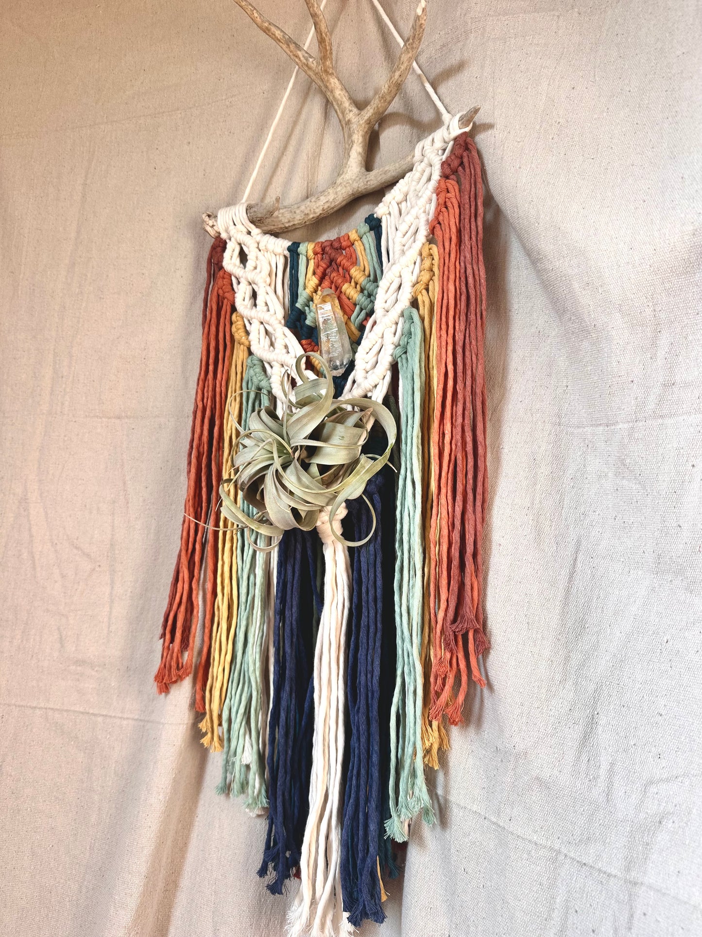 Rainbow Macrame Wall Hanging with Quartz and Airplant