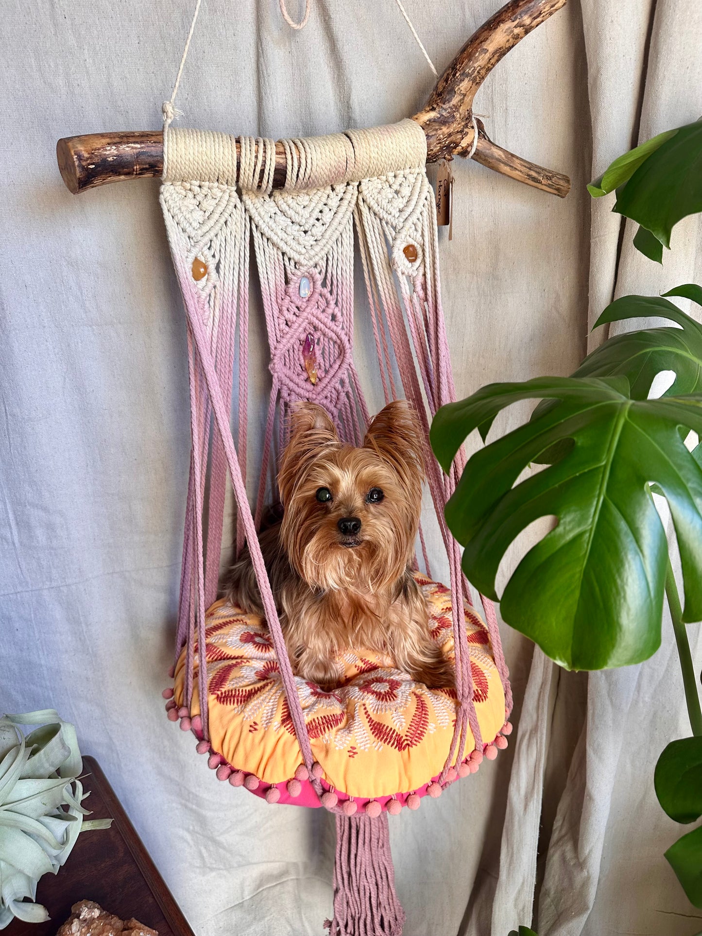 Custom Macrame Cat Hammock