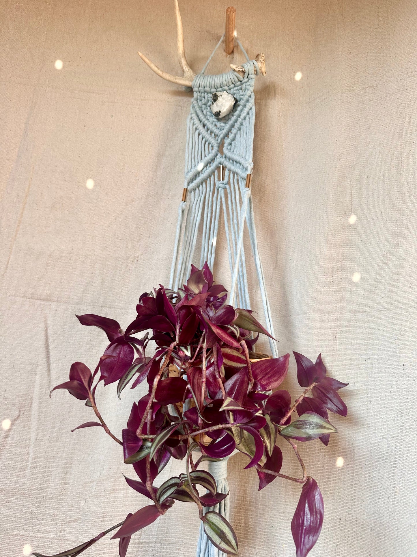 Macrame Antler Small Plant Hanger