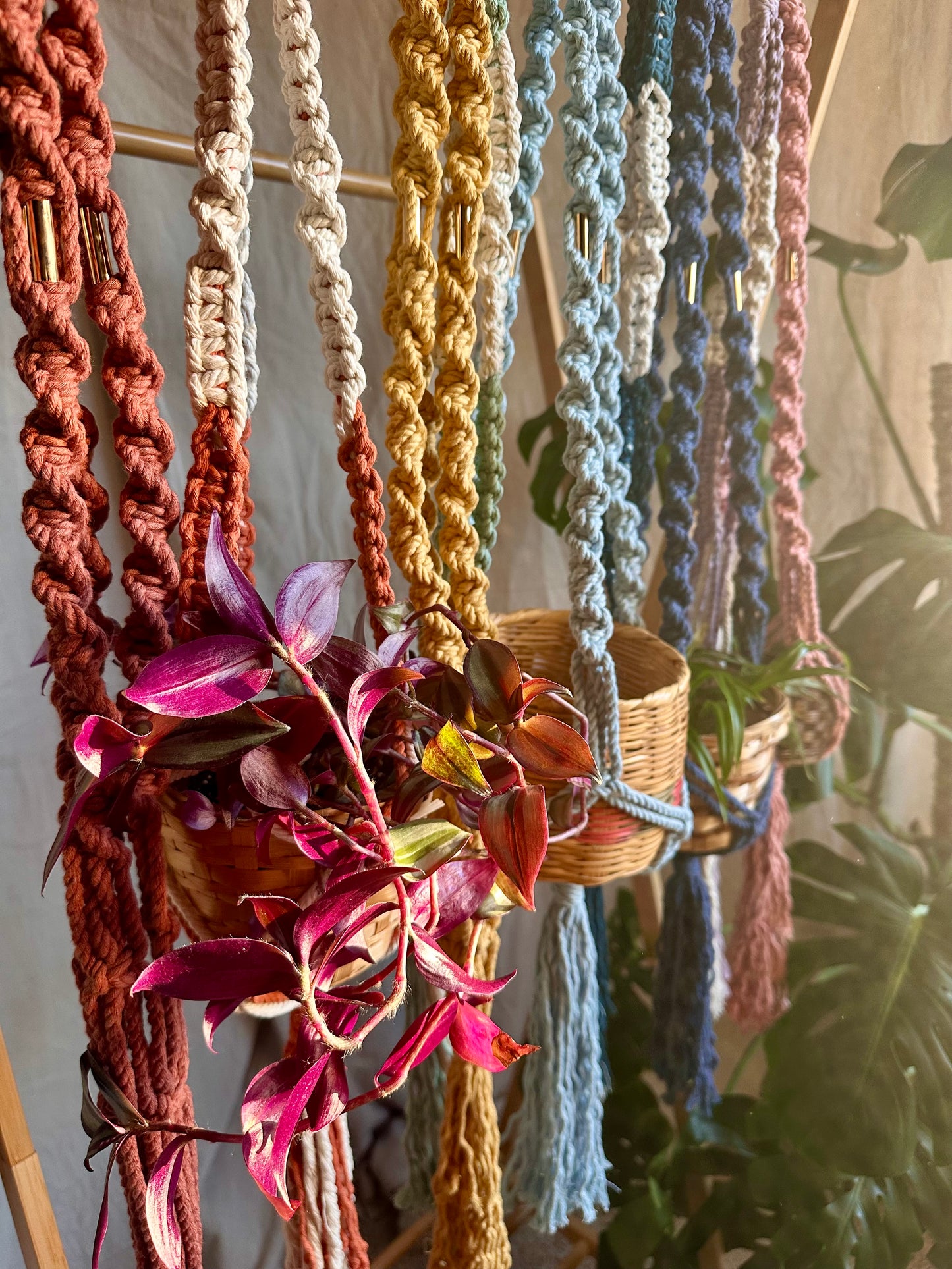 Macrame Plant Hangers