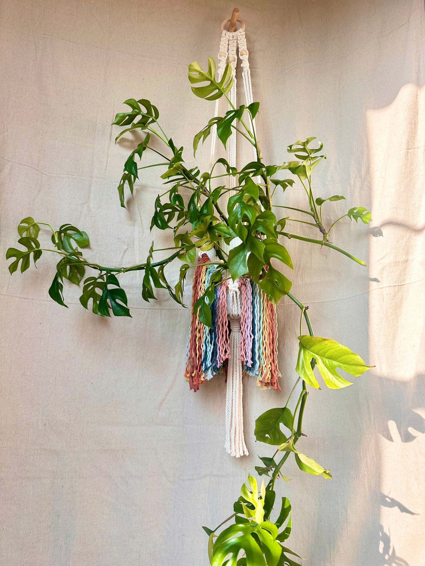 Rainbow Fringe Macrame Plant Hanger