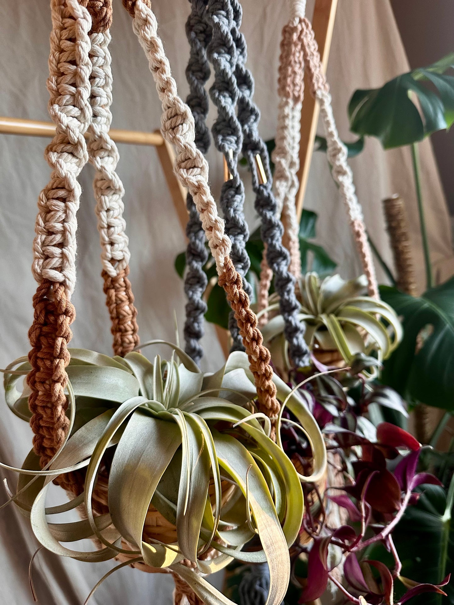 Macrame Plant Hangers