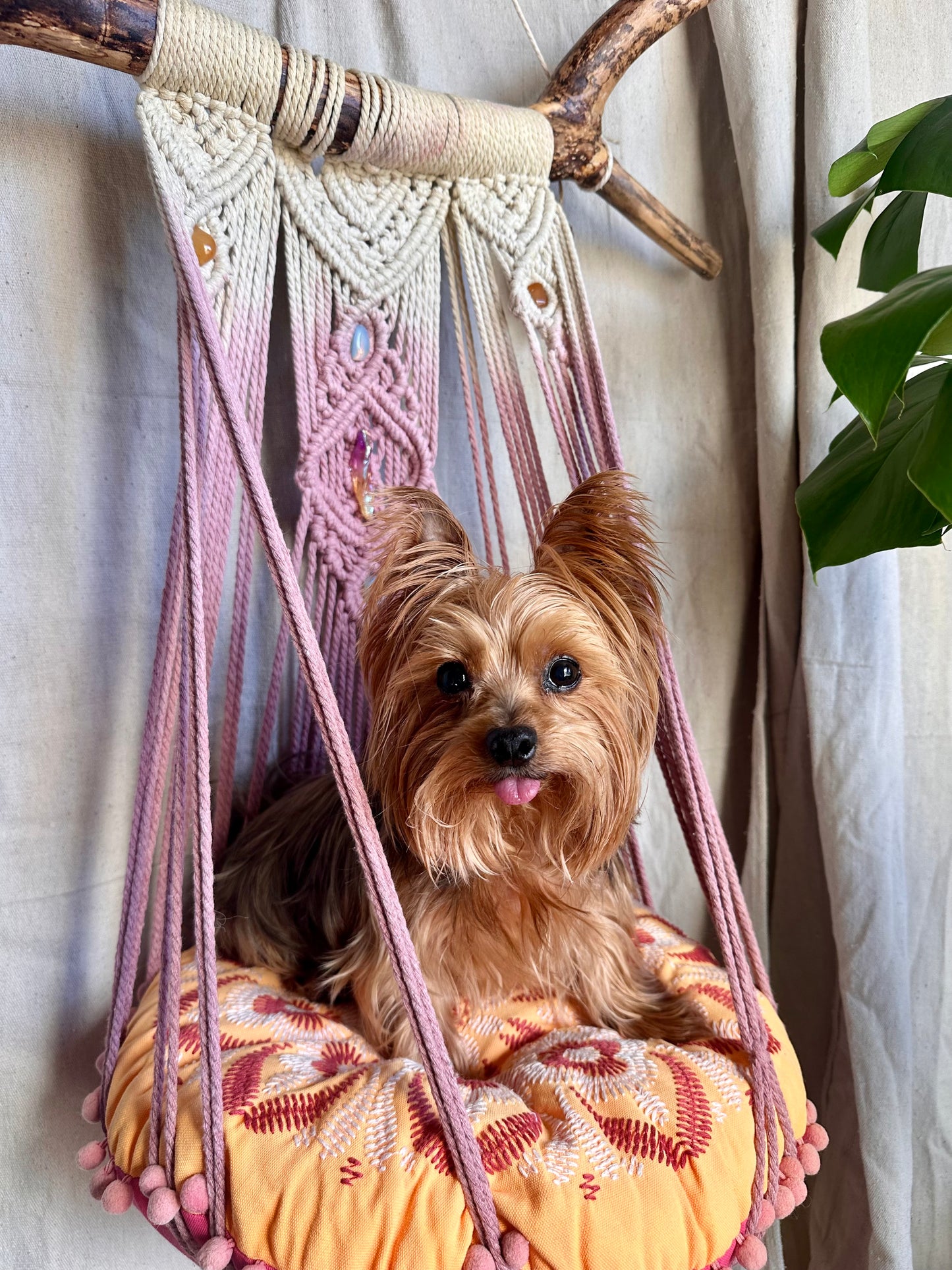 Custom Macrame Cat Hammock