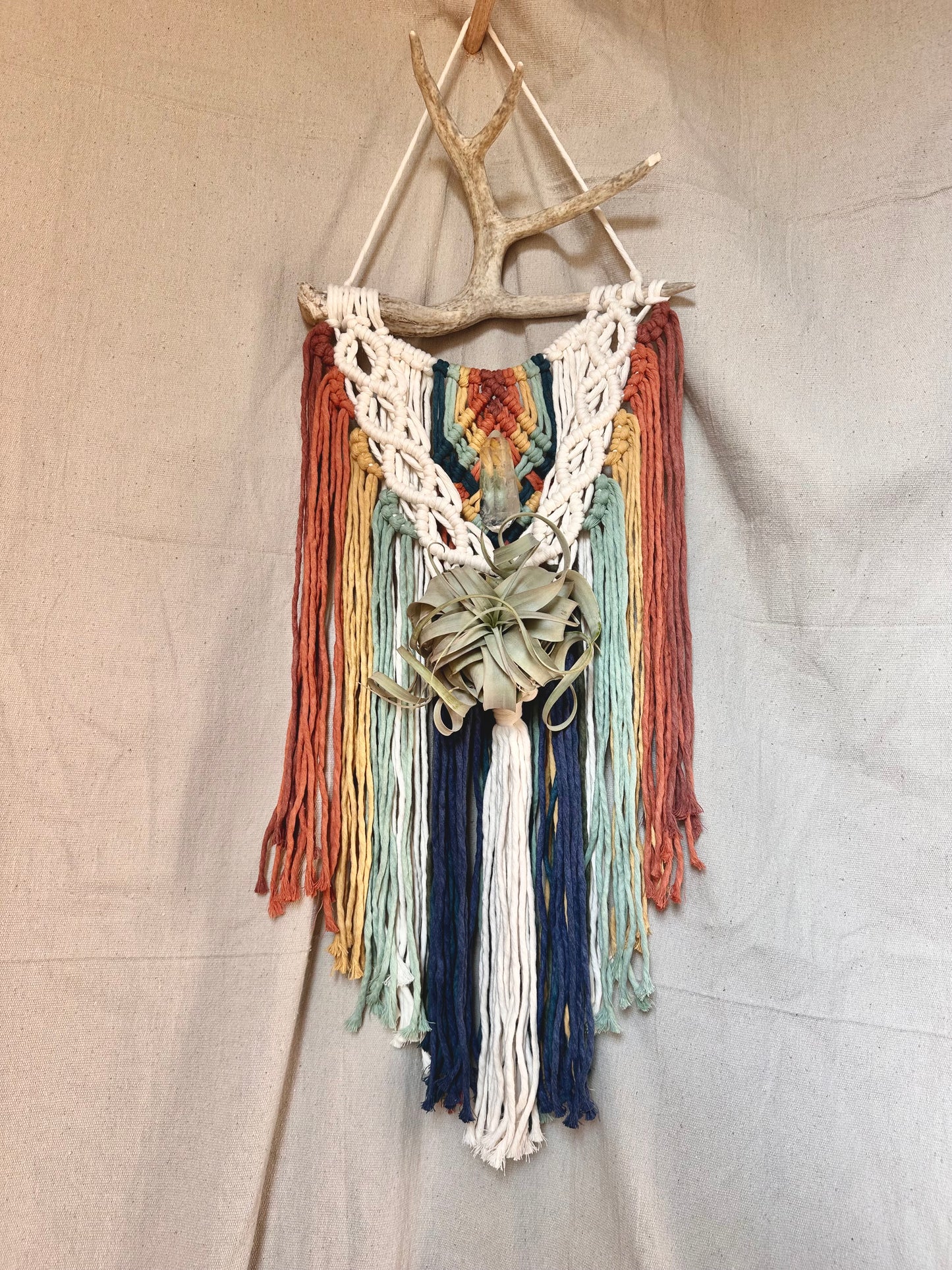 Rainbow Macrame Wall Hanging with Quartz and Airplant