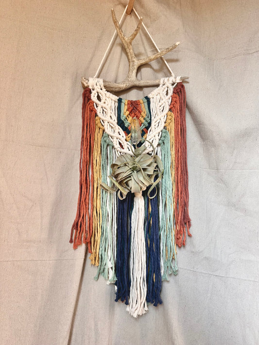 Rainbow Macrame Wall Hanging with Quartz and Airplant