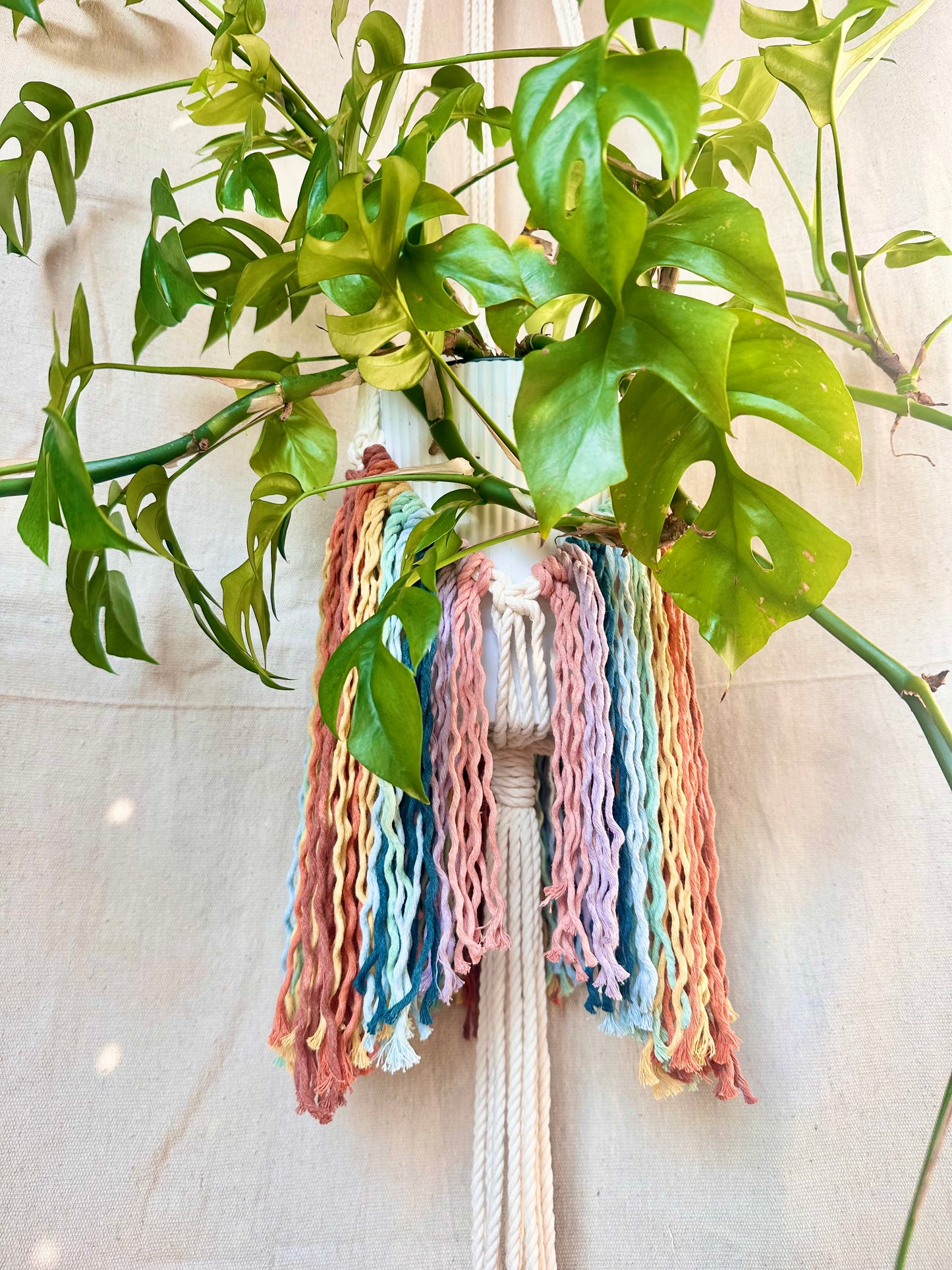 Rainbow Fringe Macrame Plant Hanger