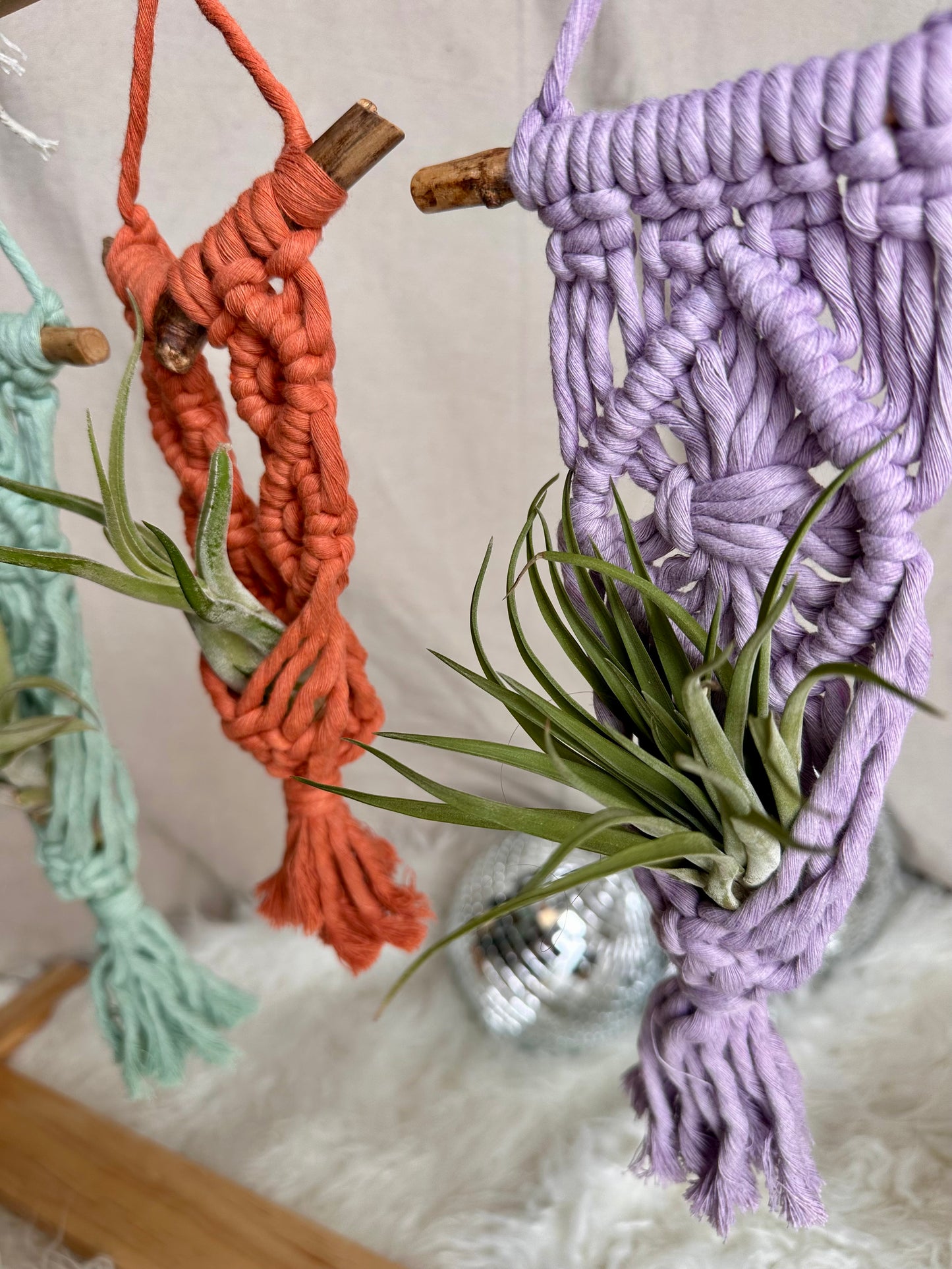 Macrame Air Plant Hanger