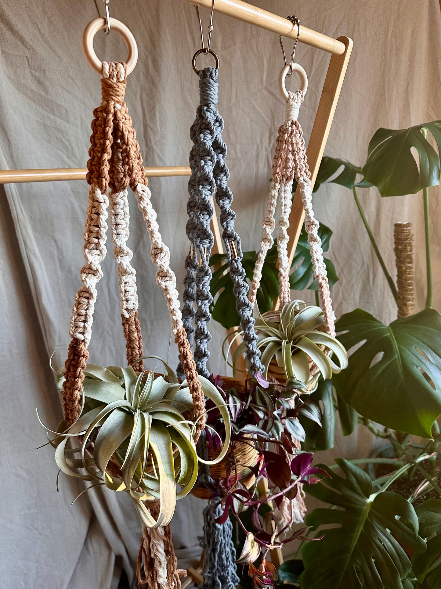 Macrame Plant Hangers