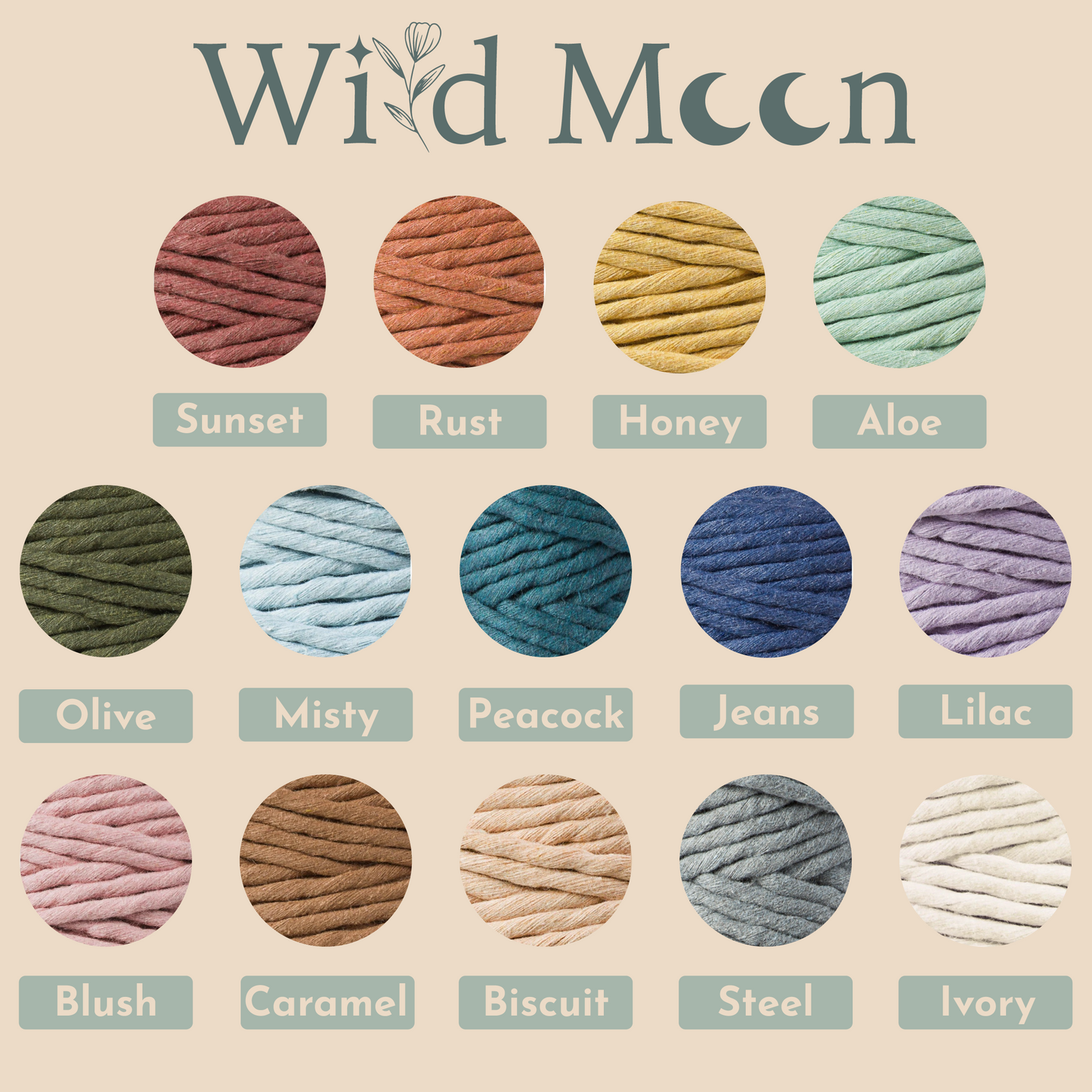 Selenite Wand Macrame Wall Hanging