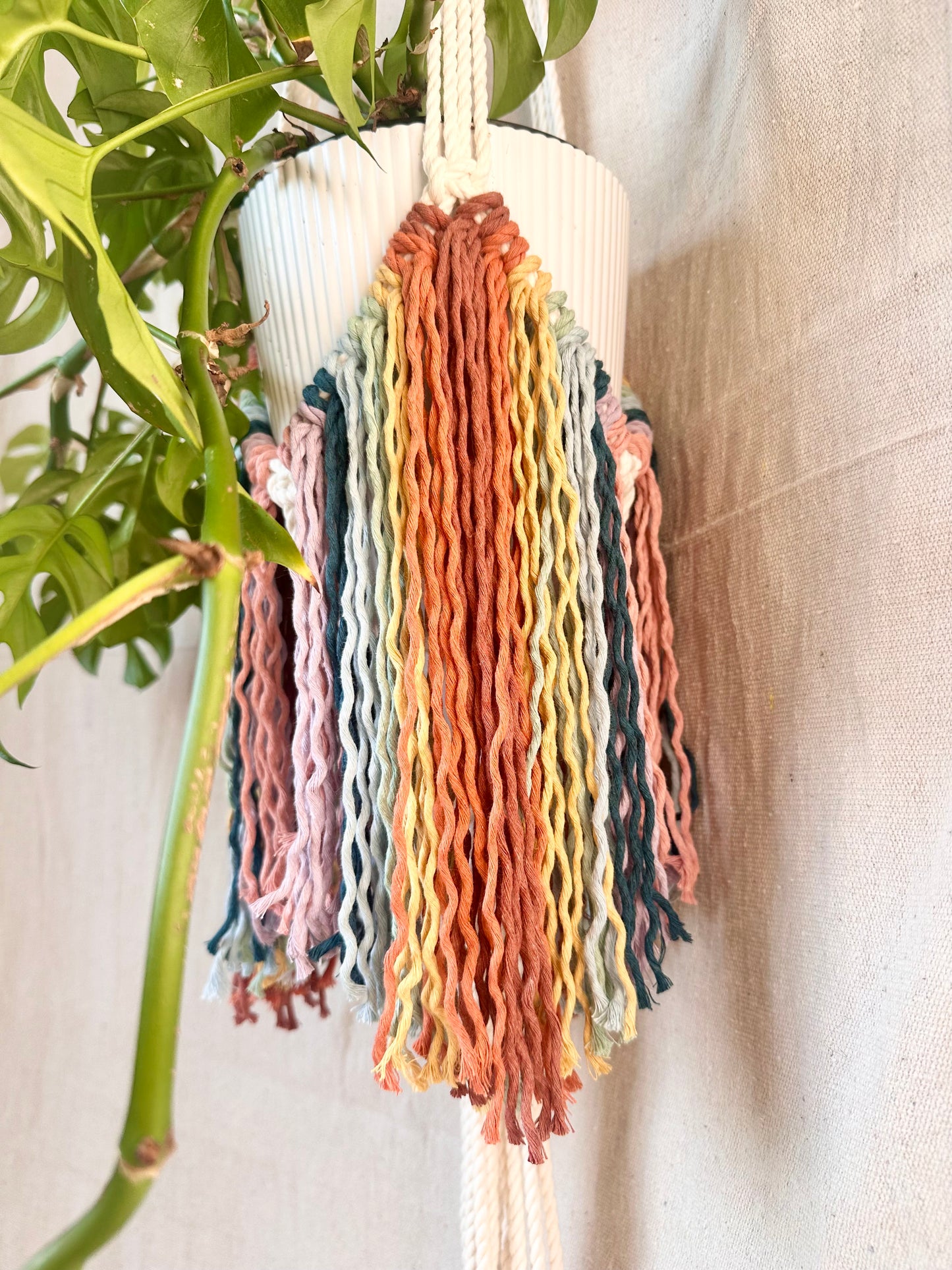 Rainbow Fringe Macrame Plant Hanger