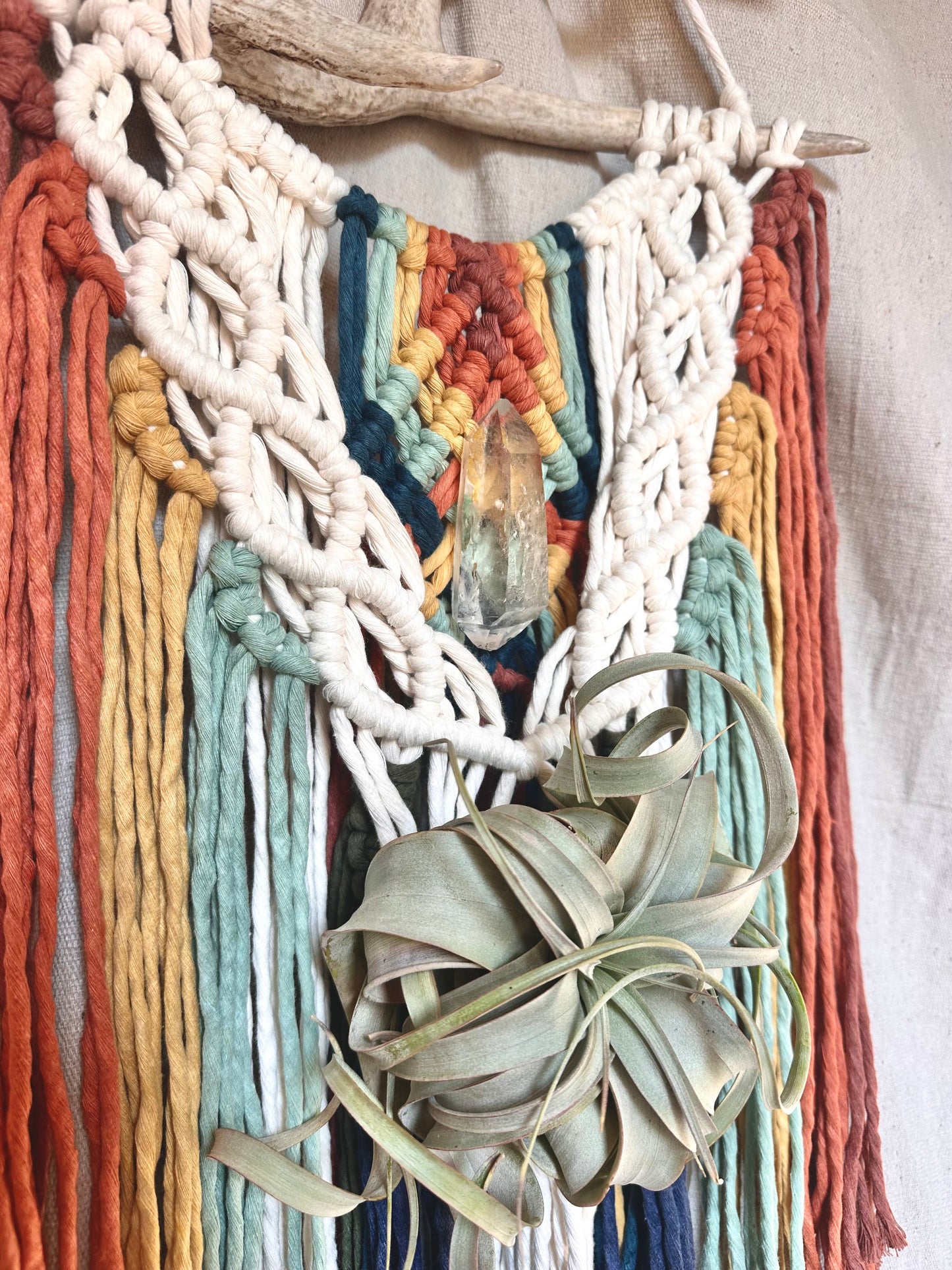Rainbow Macrame Wall Hanging with Quartz and Airplant