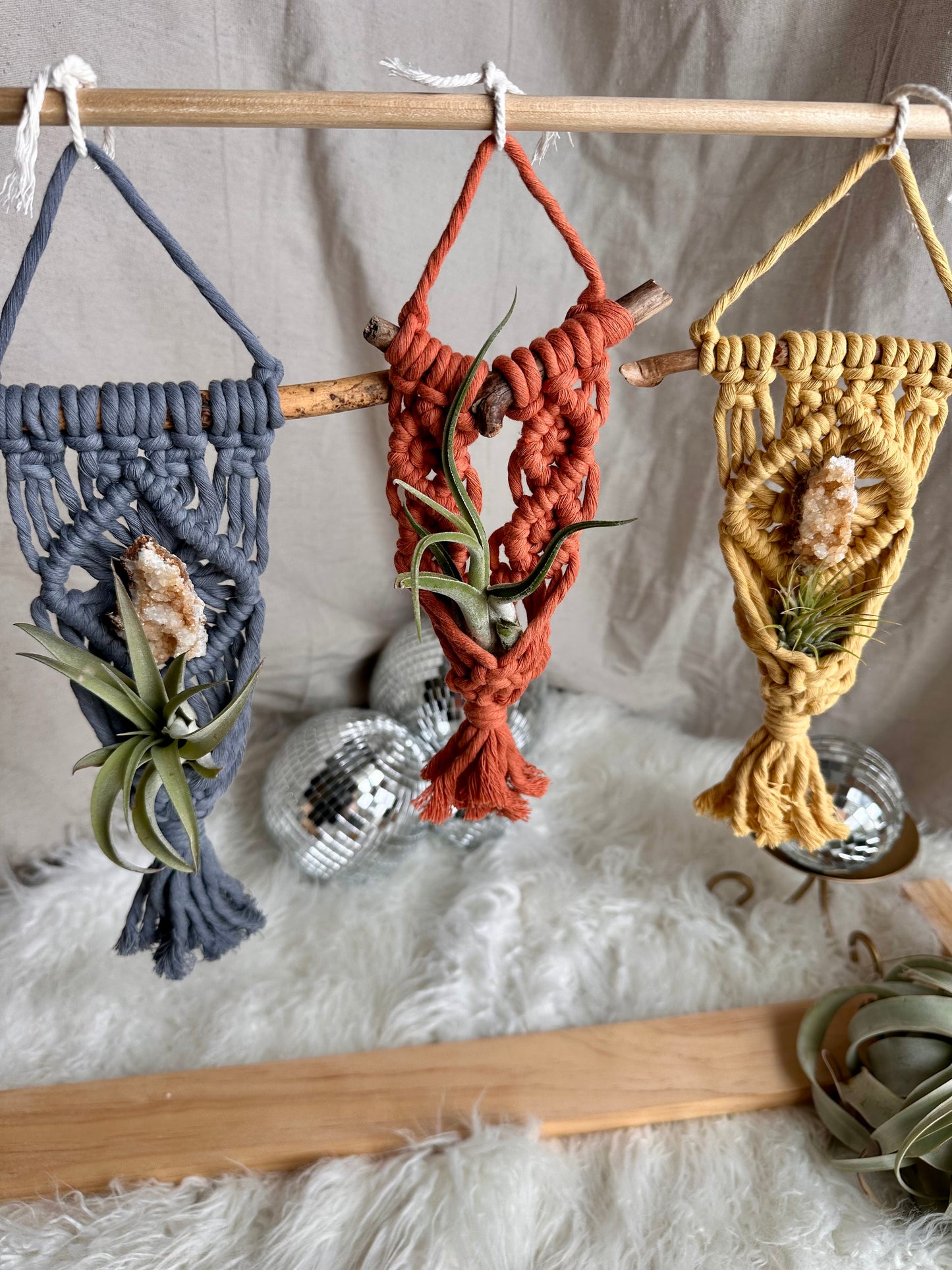 Macrame Air Plant Hanger