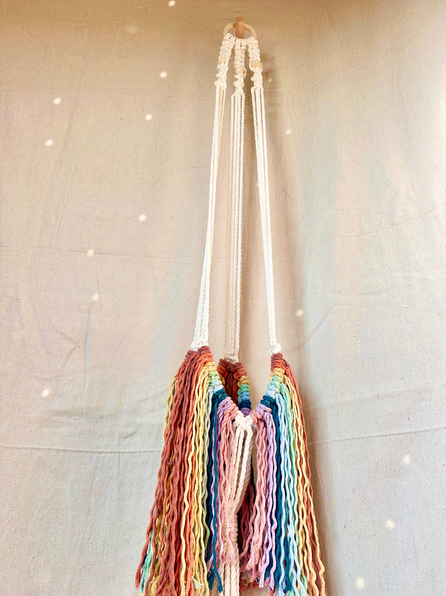 Rainbow Fringe Macrame Plant Hanger