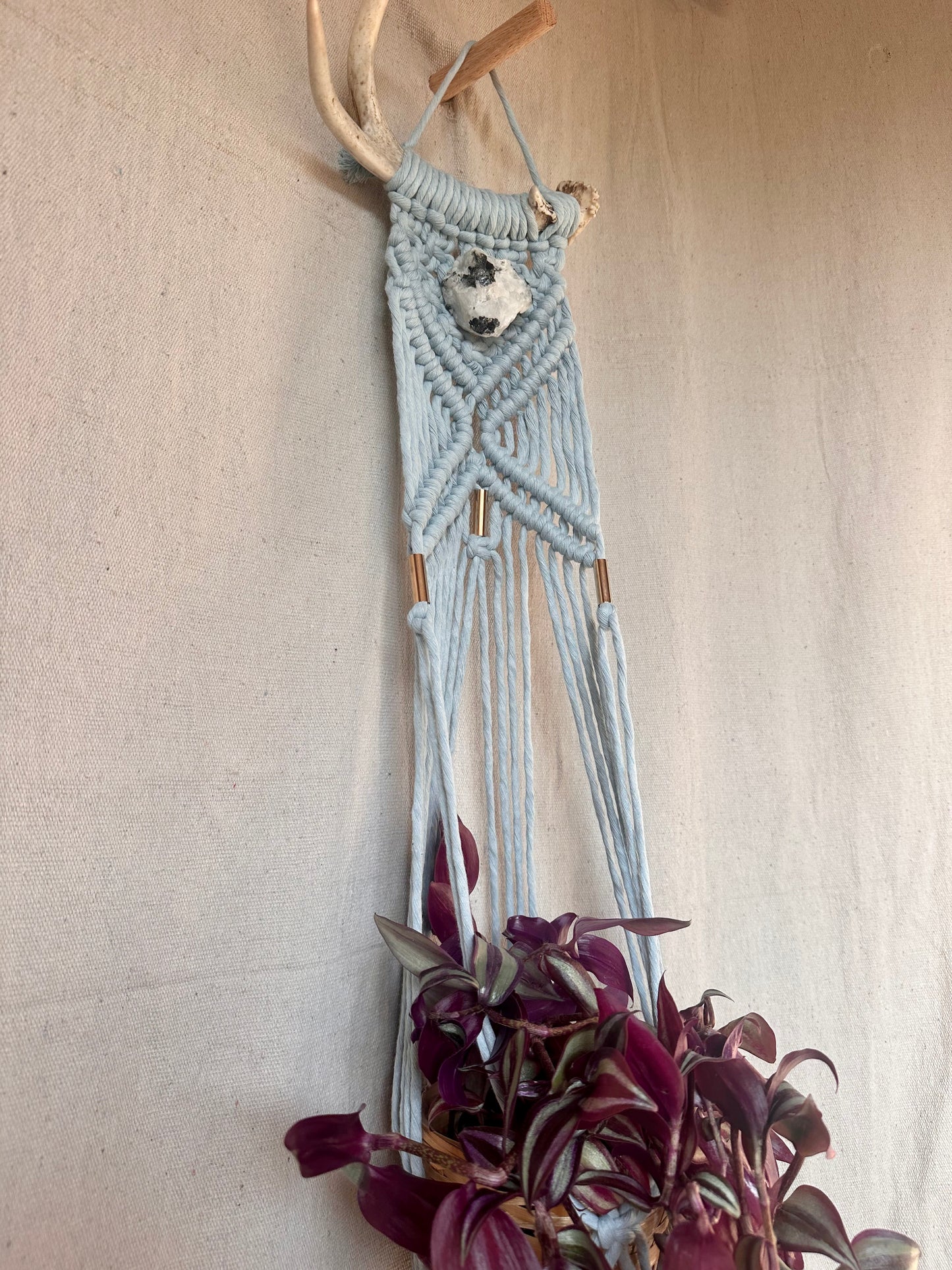 Macrame Antler Small Plant Hanger