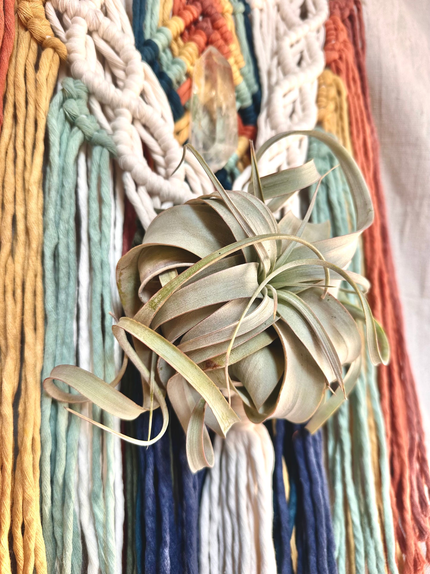 Rainbow Macrame Wall Hanging with Quartz and Airplant