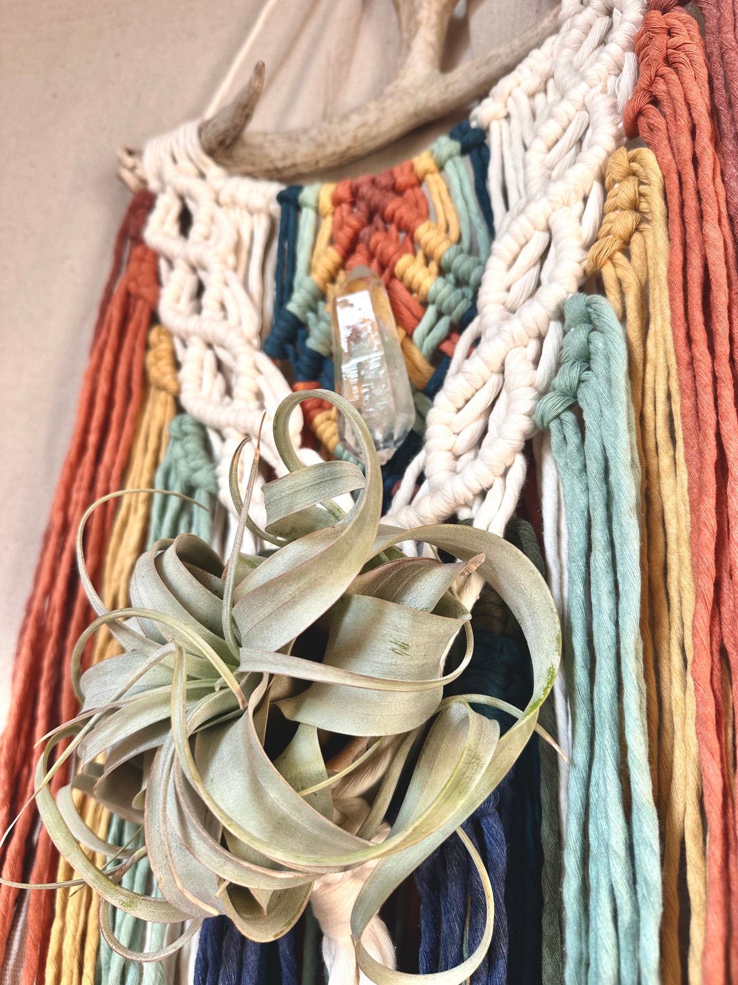 Rainbow Macrame Wall Hanging with Quartz and Airplant