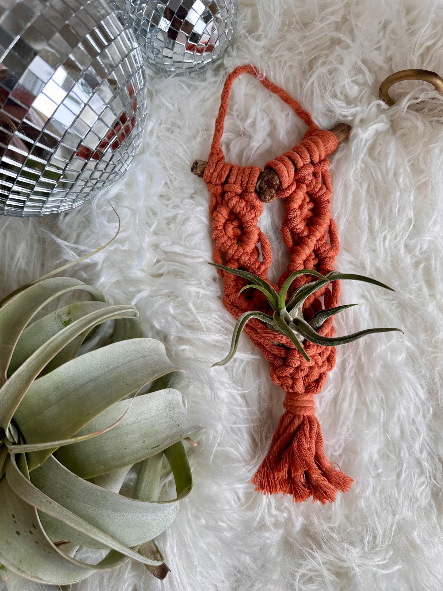 Macrame Air Plant Hanger