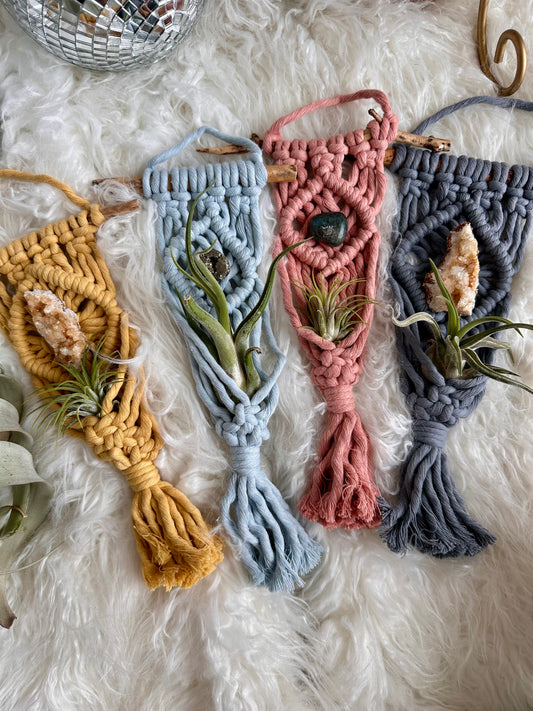 Macrame Air Plant Hanger