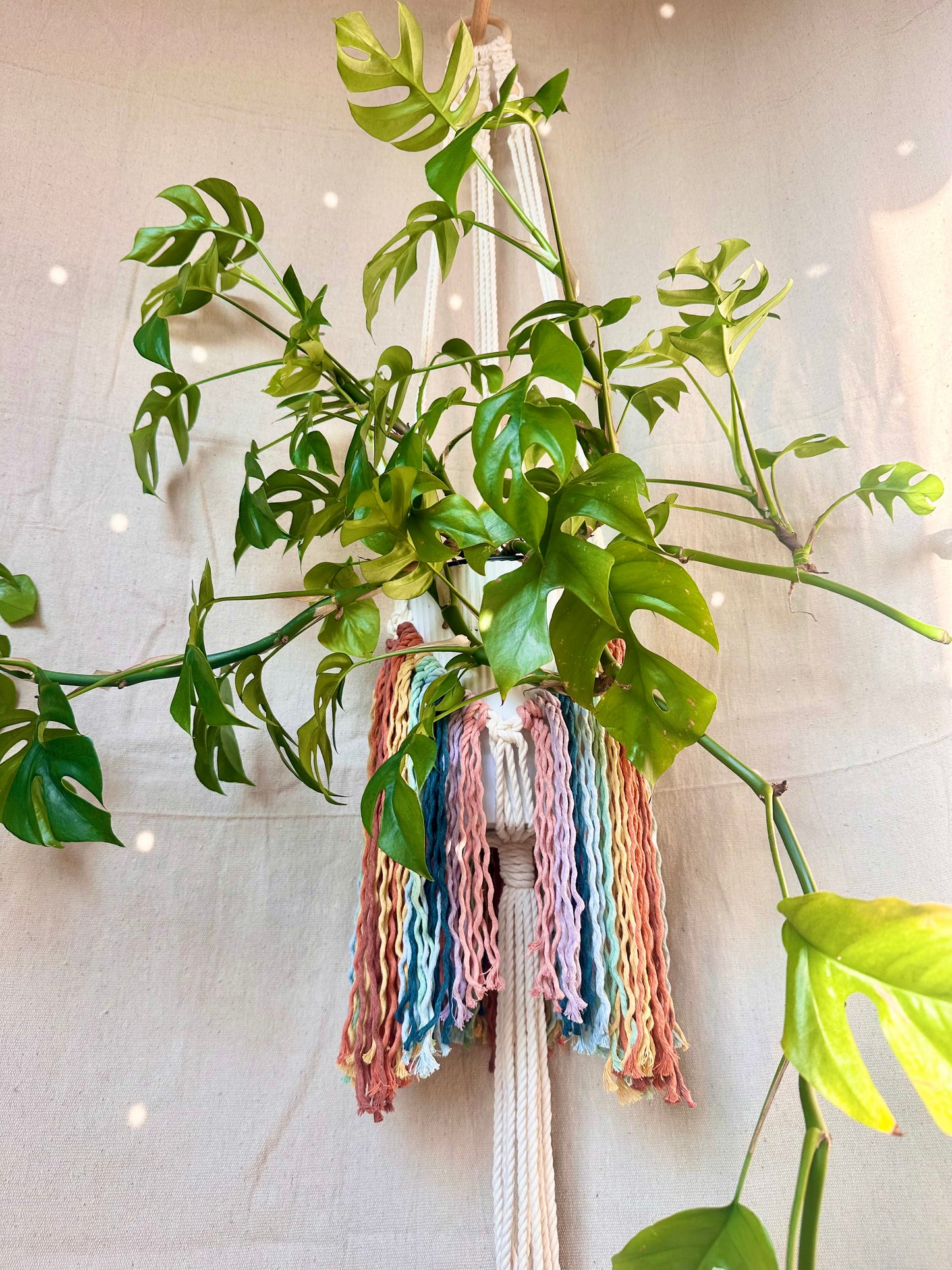 Rainbow Fringe Macrame Plant Hanger