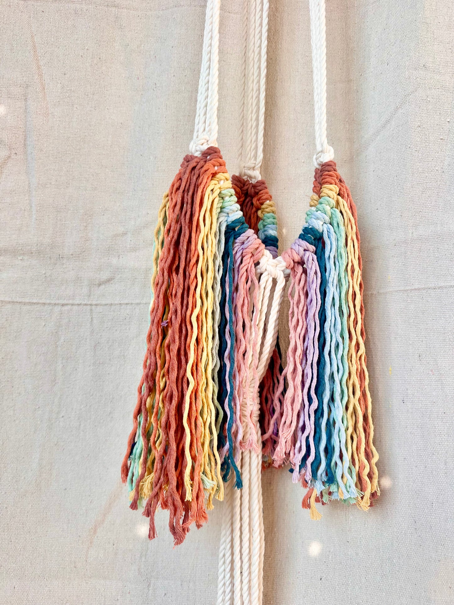 Rainbow Fringe Macrame Plant Hanger