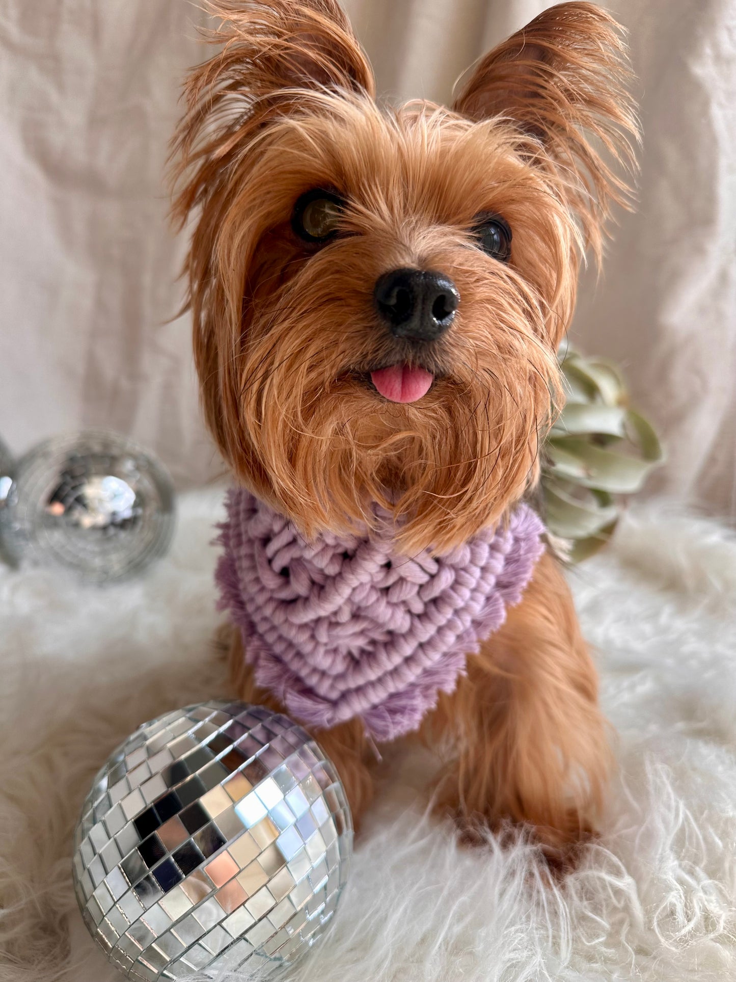 Macrame Boho Pet Bandana