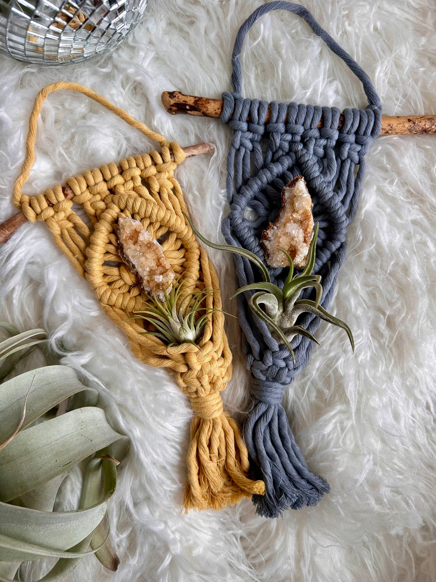 Macrame Air Plant Hanger