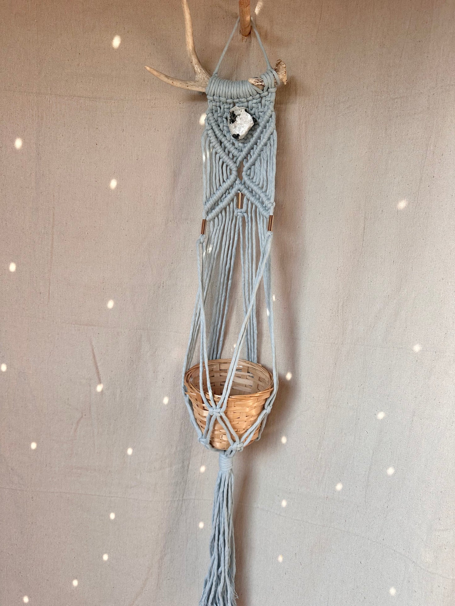 Macrame Antler Small Plant Hanger