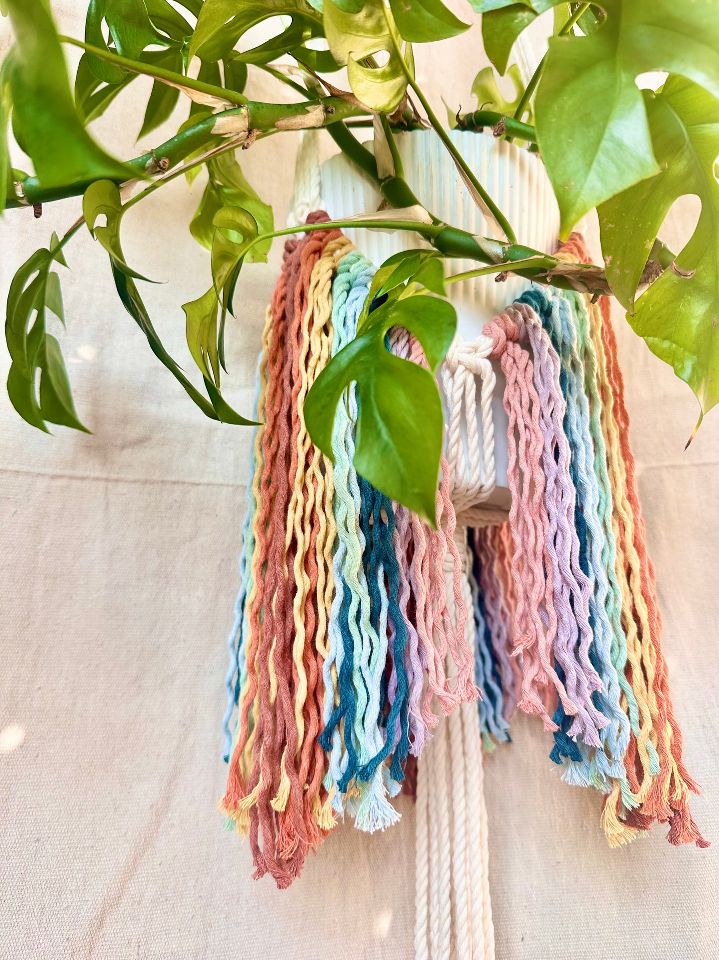 Rainbow Fringe Macrame Plant Hanger
