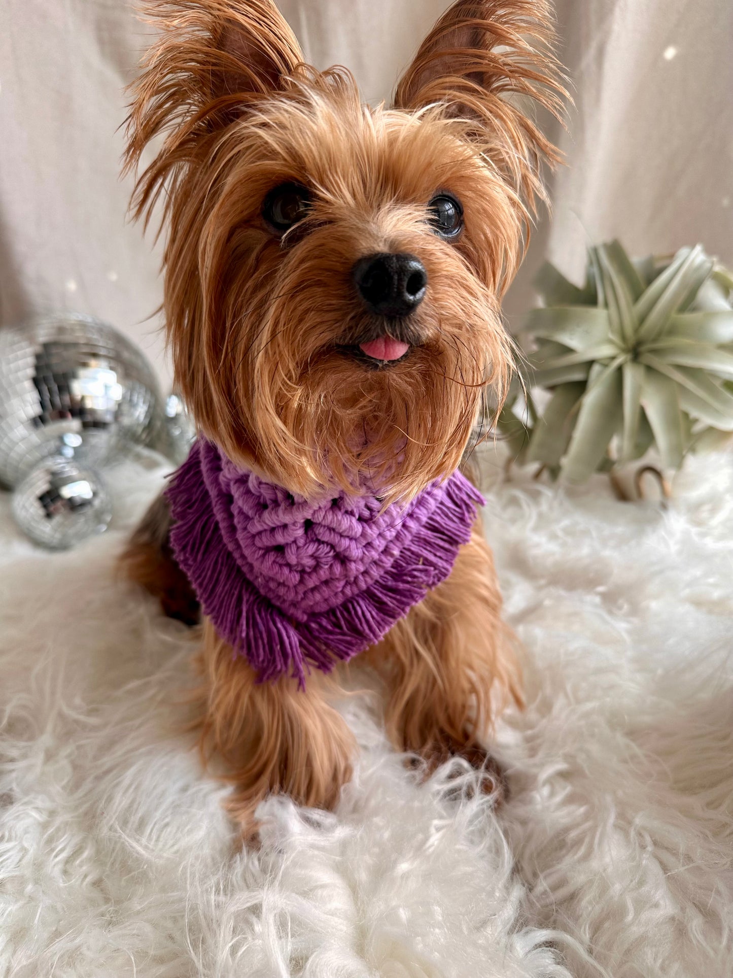 Macrame Boho Pet Bandana