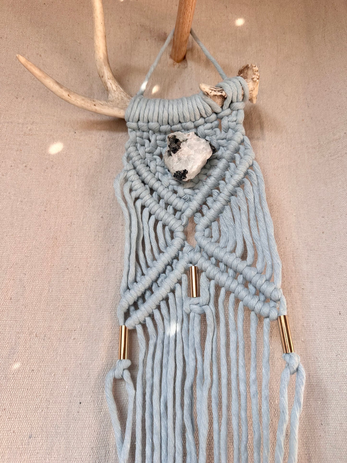 Macrame Antler Small Plant Hanger
